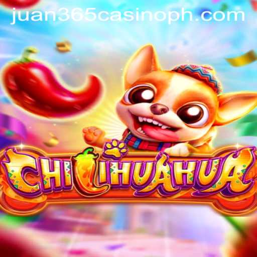Discover the Excitement of CHILIHUAHUA at Juan 365 Casino