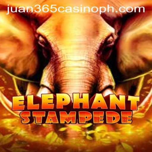 Elephant Stampede Game Review