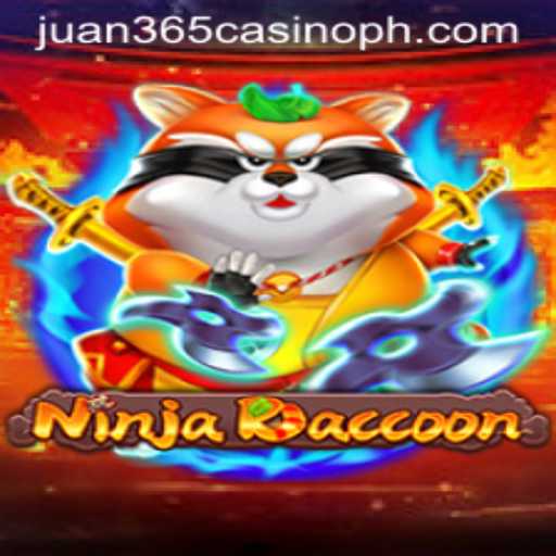 NinjaRaccoon: An Adventure Through the Gaming World