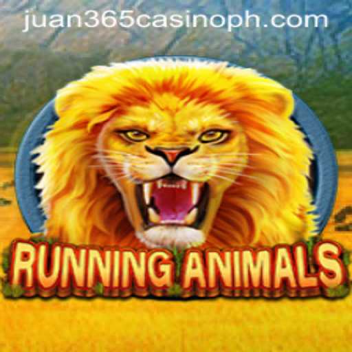 RunningAnimals: A Thrilling Adventure in Virtual Racing